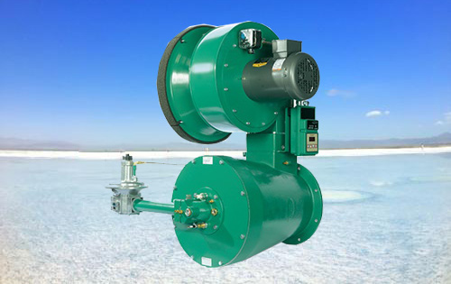 美国天时浸管式IJ燃烧器