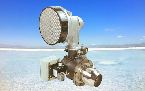 <b>日本正英浸管式燃烧器</b>